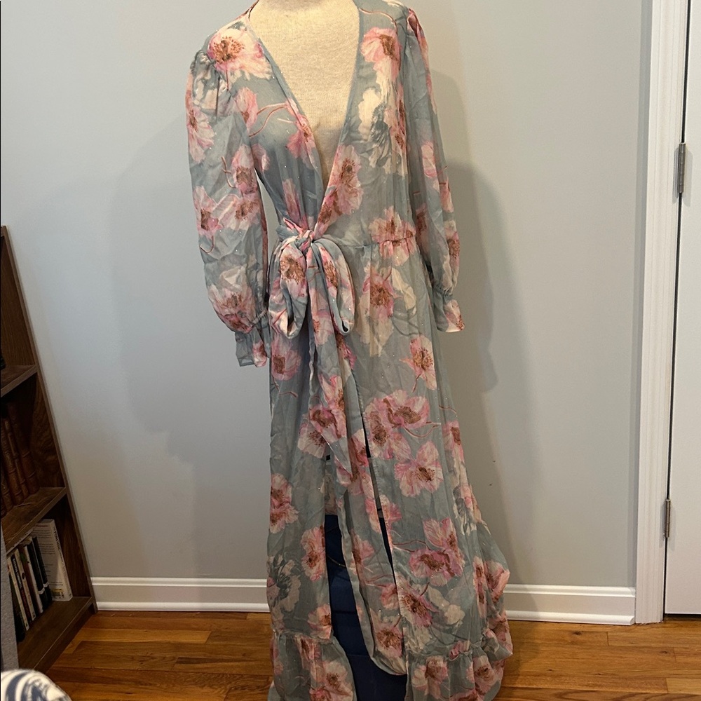 NWT Express Floral Sheer Blue and Pink Floral Dress/ cover up